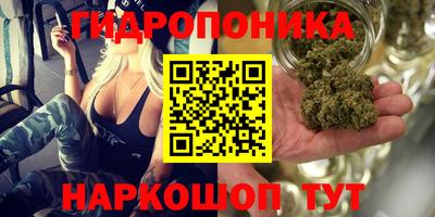 мяу мяу мука Будённовск